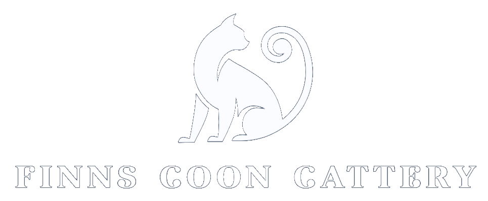 Finns Coon Cattery
